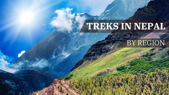 Himalayan Trekking and Tours (P) Ltd | By Region