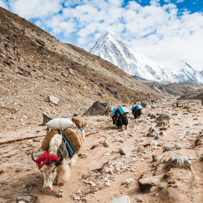 Everest Base Camp Trek4