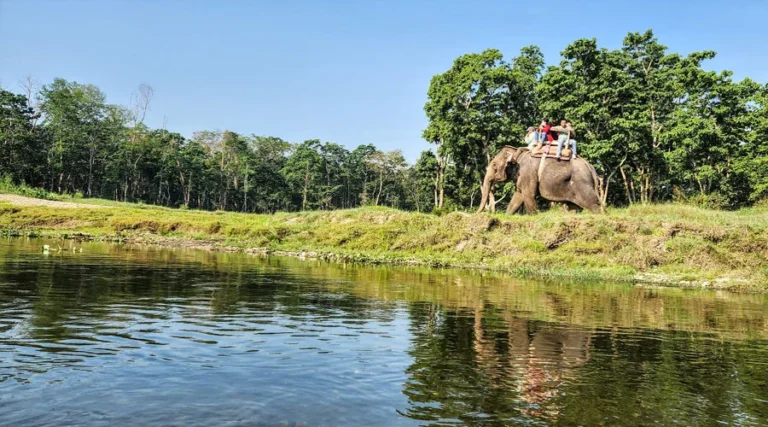 Kathmandu Pokhara Chitwan Tour
