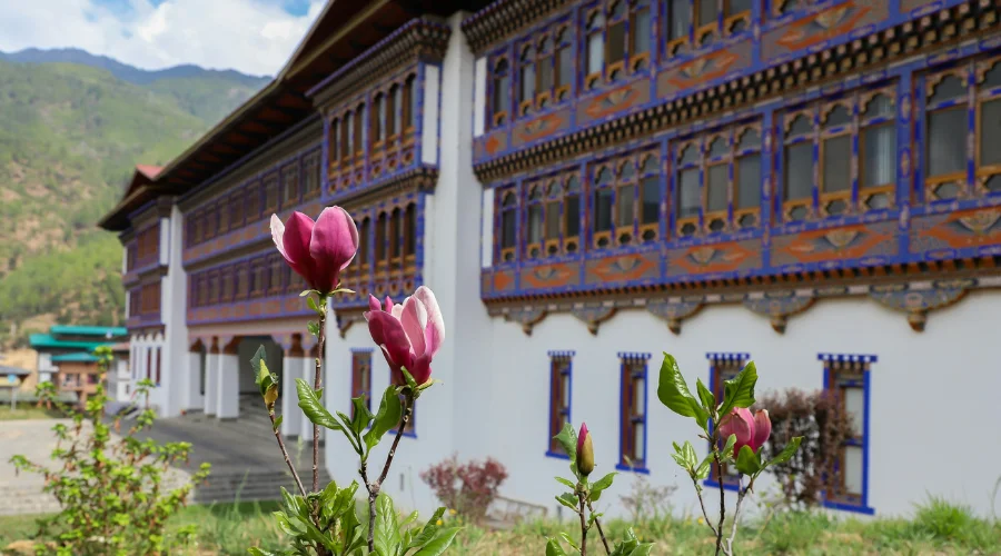 A really beautiful flower in Bhutan