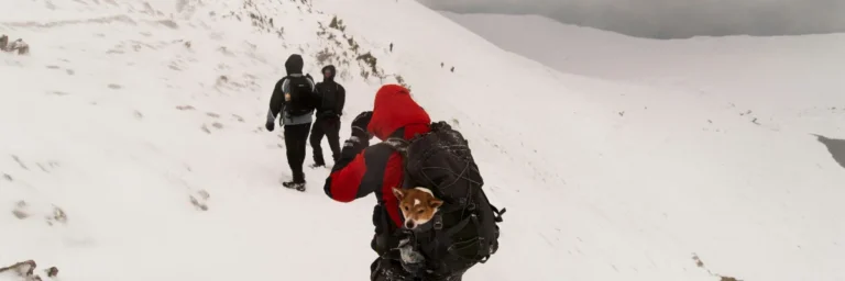 List of Mount Everest Summiteers Spring Season 2025 Updates 1 Mount Everest Summiteers