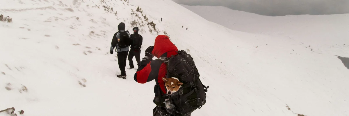 Himalayan Trekking and Tours (P) Ltd|List of Mount Everest Summiteers Spring Season 2025 Updates