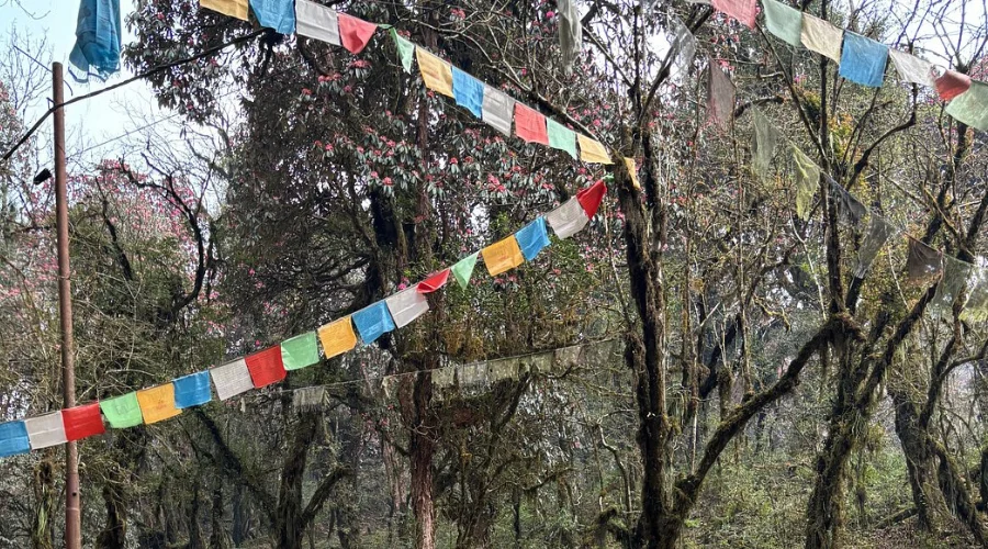 Spring in Annapurna Base Camp