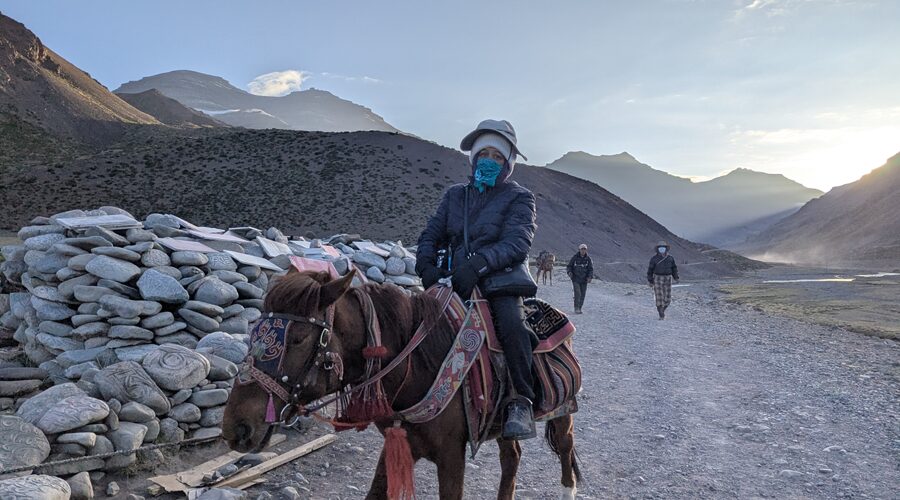 Kailash Mansarovar Yatra Cost: Nepal, India & USA Pilgrims 3 Horse/ Pony Ride During Kailash Parikram